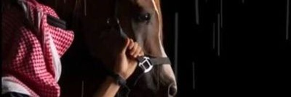 iiiv2v Profile Banner