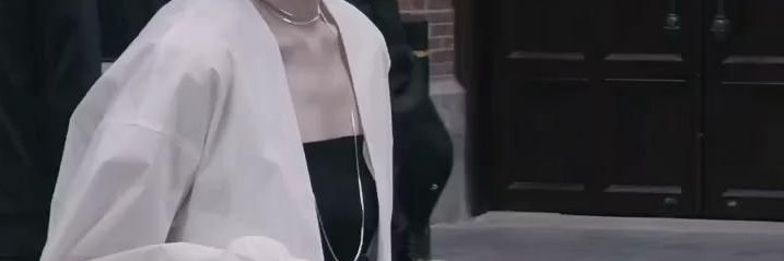 Albert Frank banner