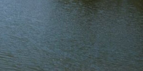 AinyKazmi's profile banner image
