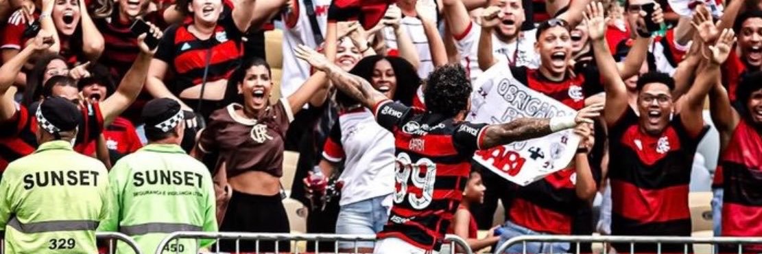 bicalhodg's profile banner image