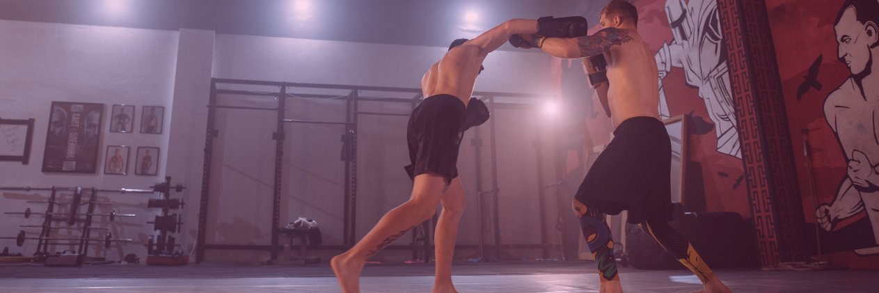 Octagon Oracle banner