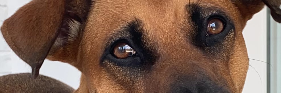 MilliieBean's profile banner image
