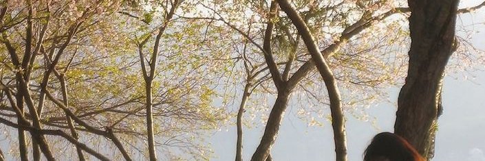 Lope Steele banner