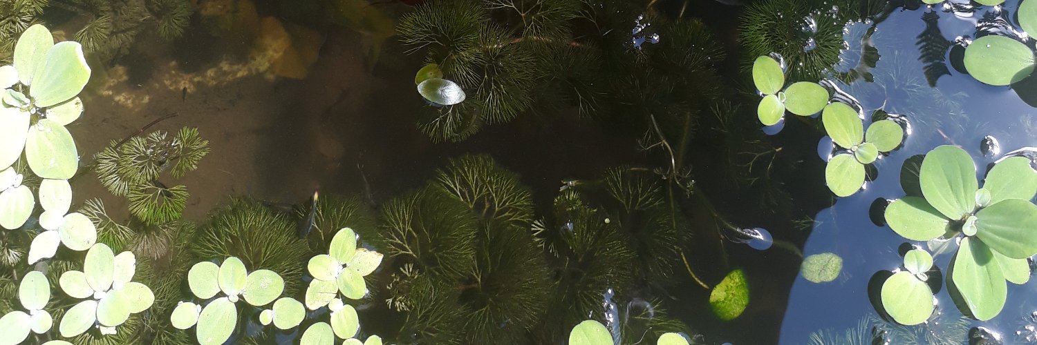 jittters's profile banner image