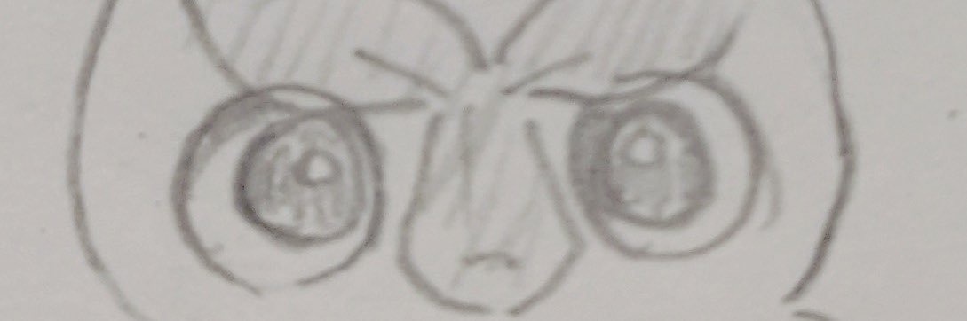 ミ banner
