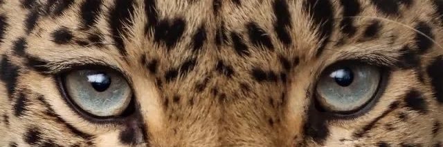 CallmeParyyy's profile banner image