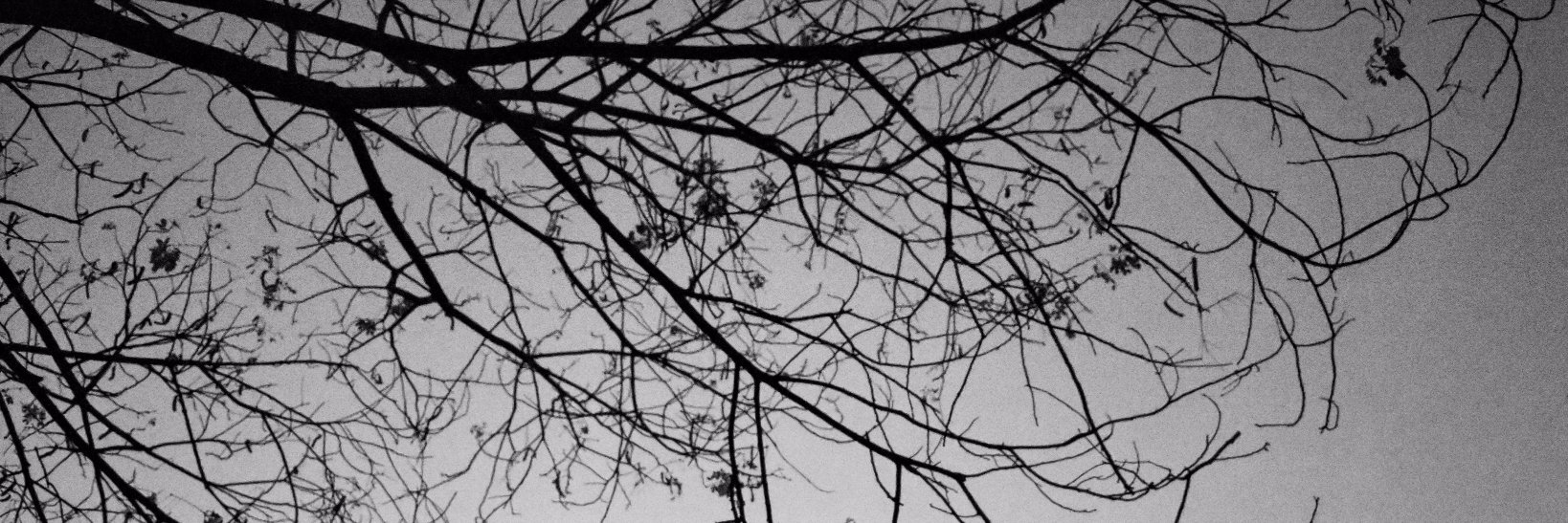 KLRxR's profile banner image