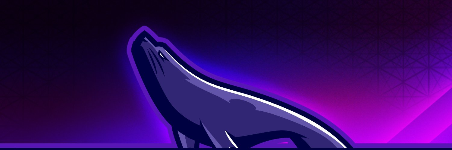 FilizzolaRafa's profile banner image