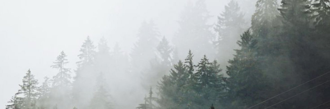 Dal (Kelly) banner