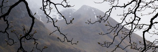 Frangipancesca Profile Banner