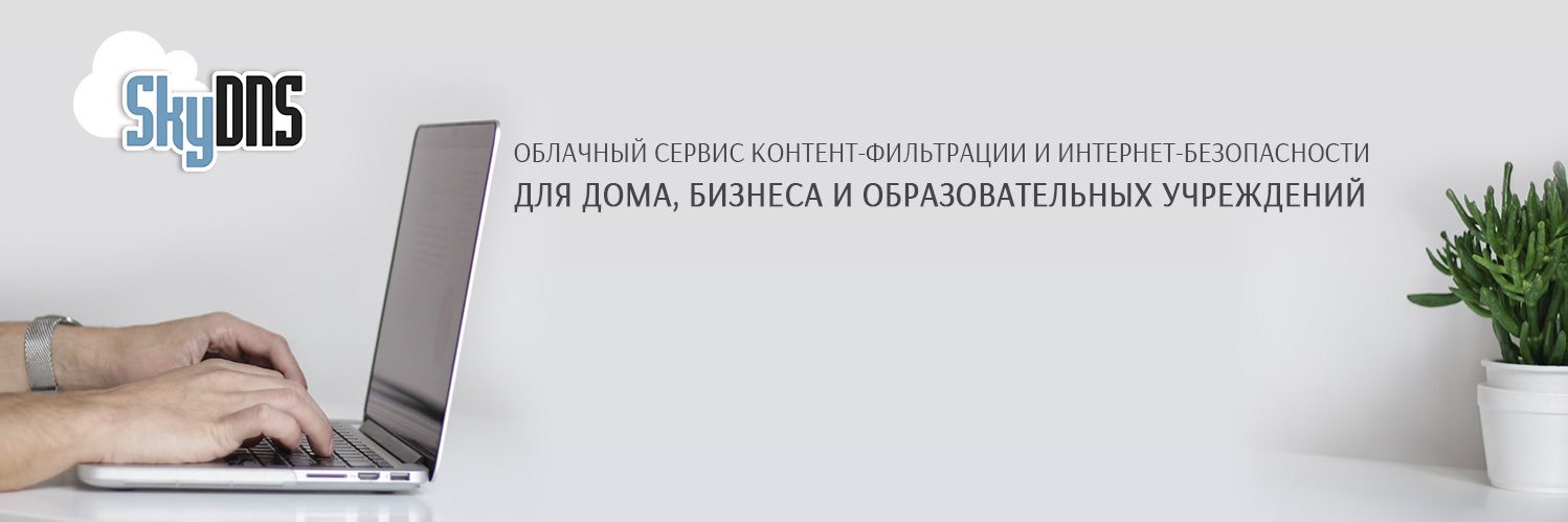SkyDNS's profile banner image