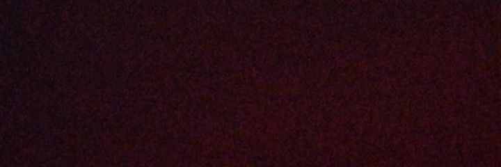 tu trans favorito banner