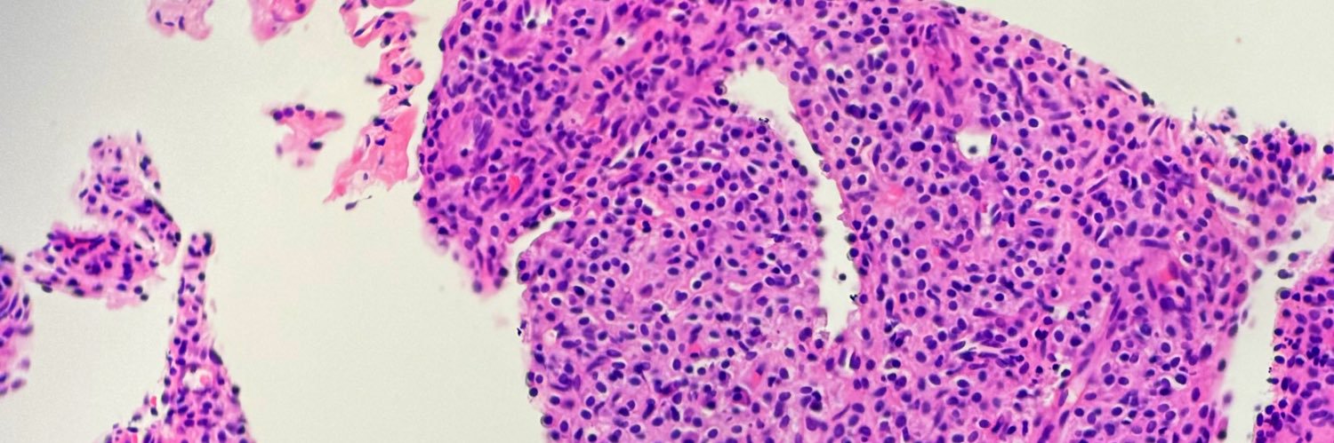 Humberto Trejo Bittar, MD, FCAP banner