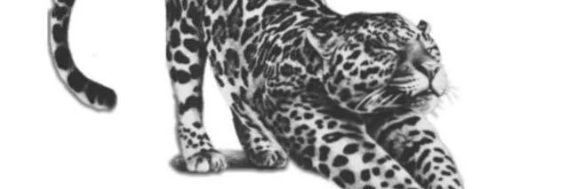 FASHI0NKIILLA's profile banner image