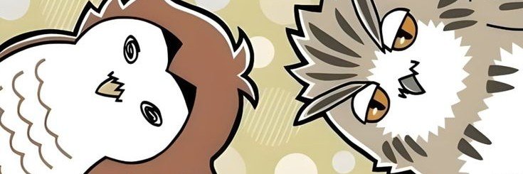 Ale_mangoo's profile banner image