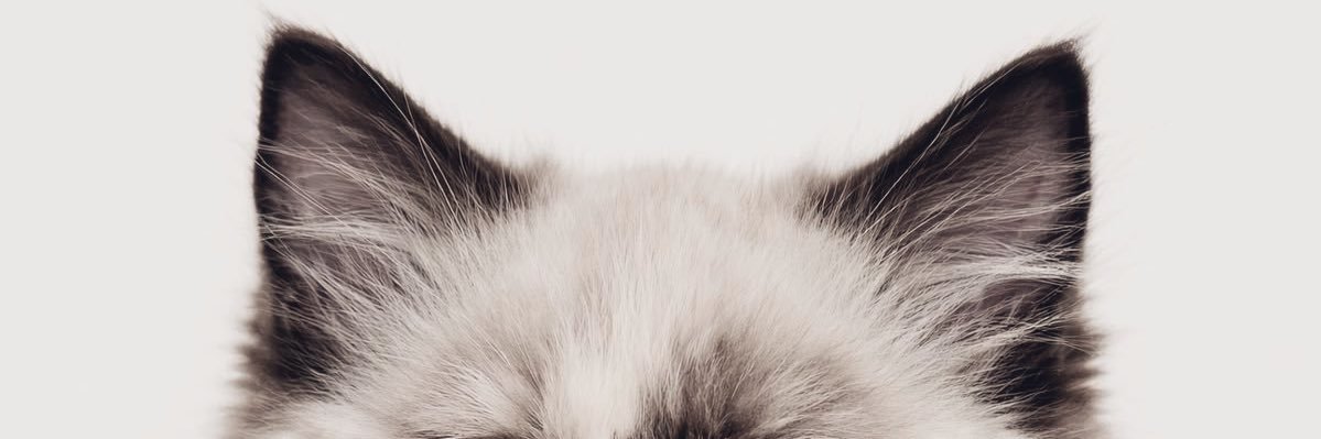 J banner