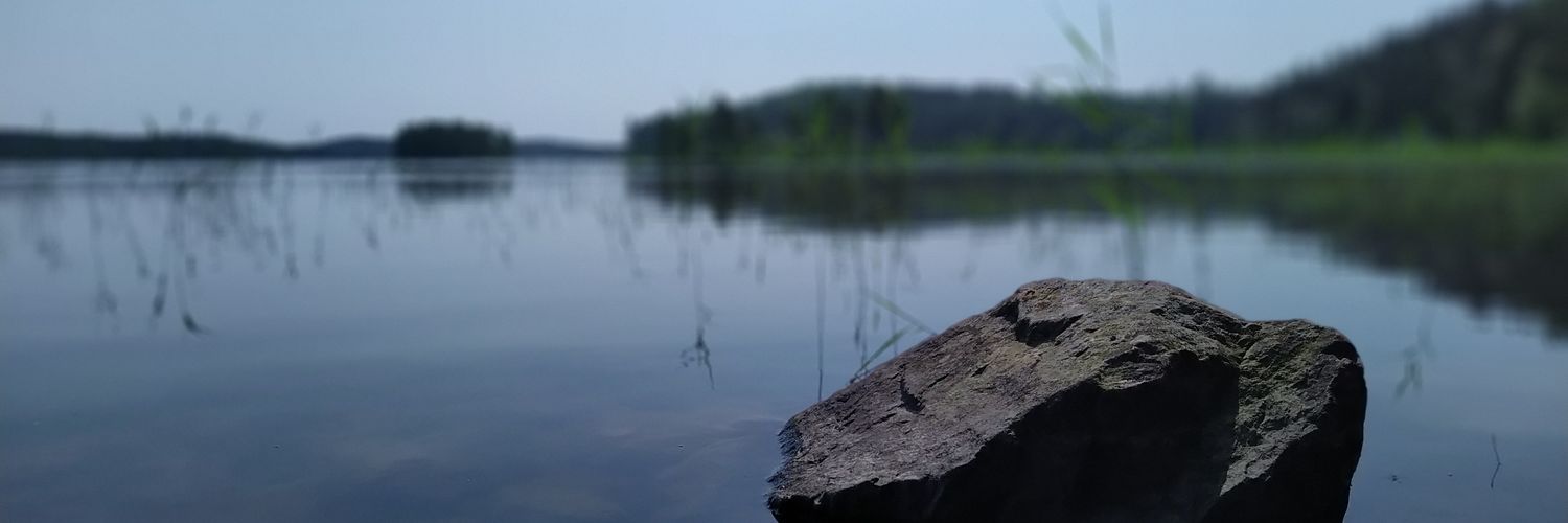 anuapo's profile banner image