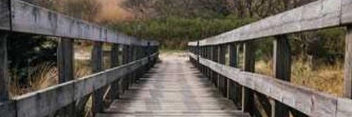 cc7697654136182's profile banner image