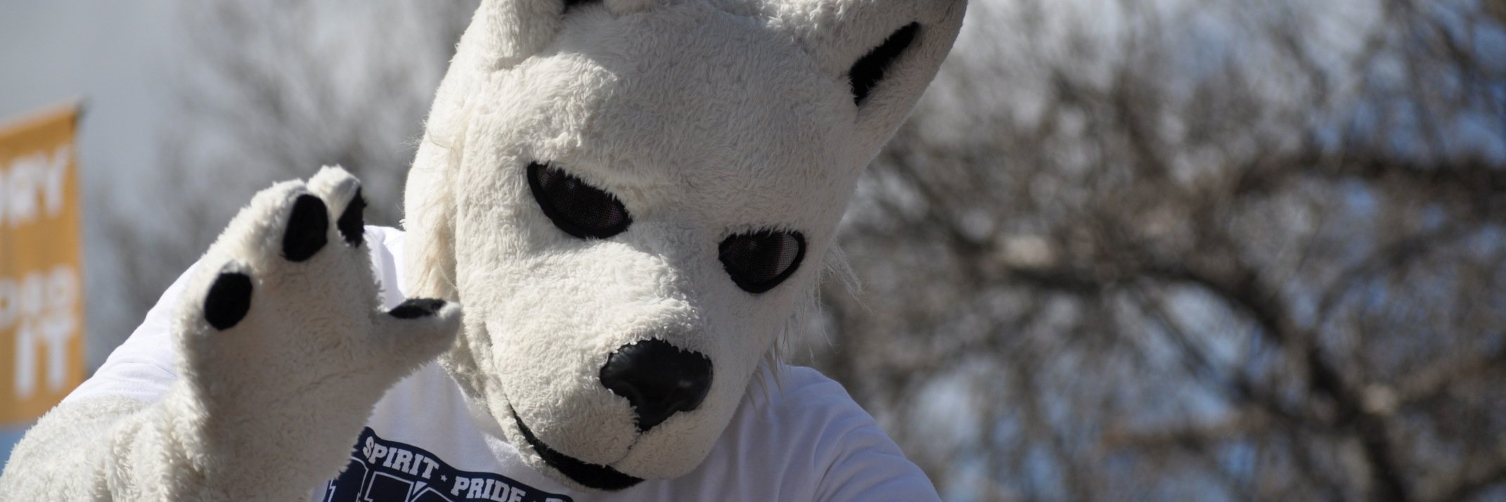 UConnNOS's profile banner image