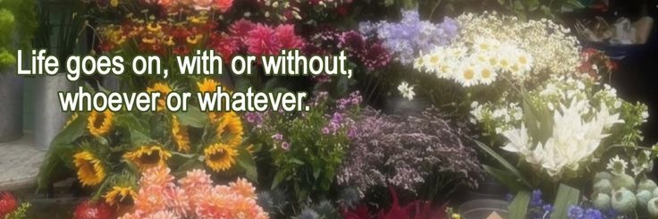 ra ּ ֶָ֢. banner