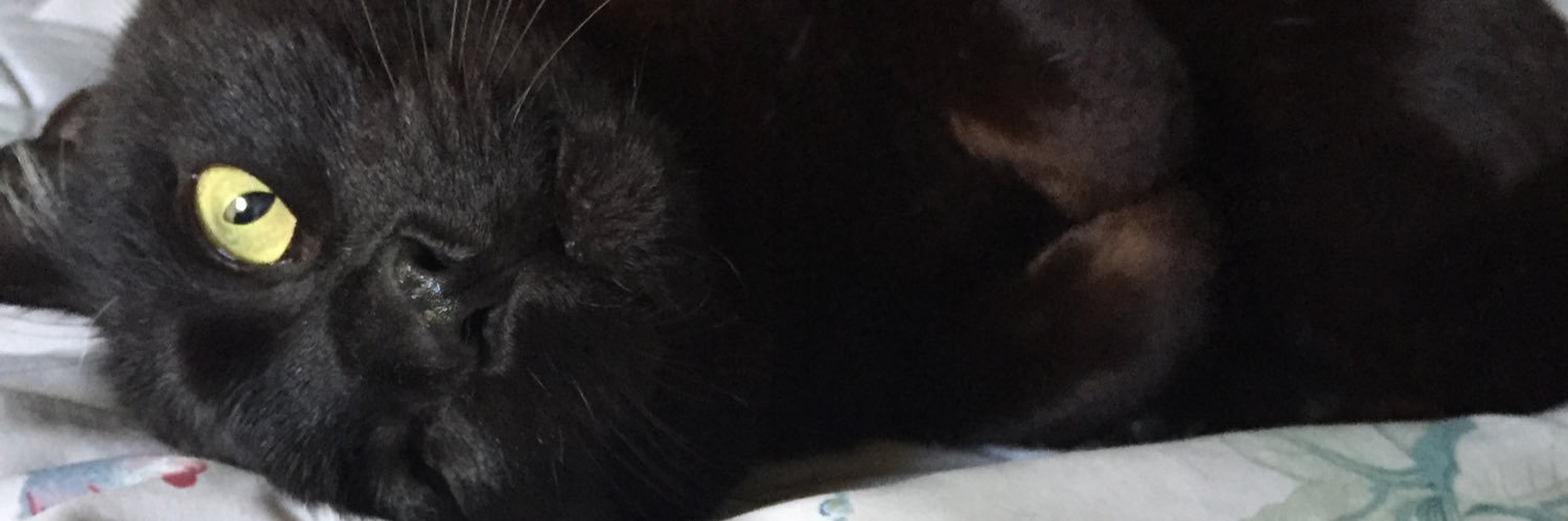 agosbel3n's profile banner image