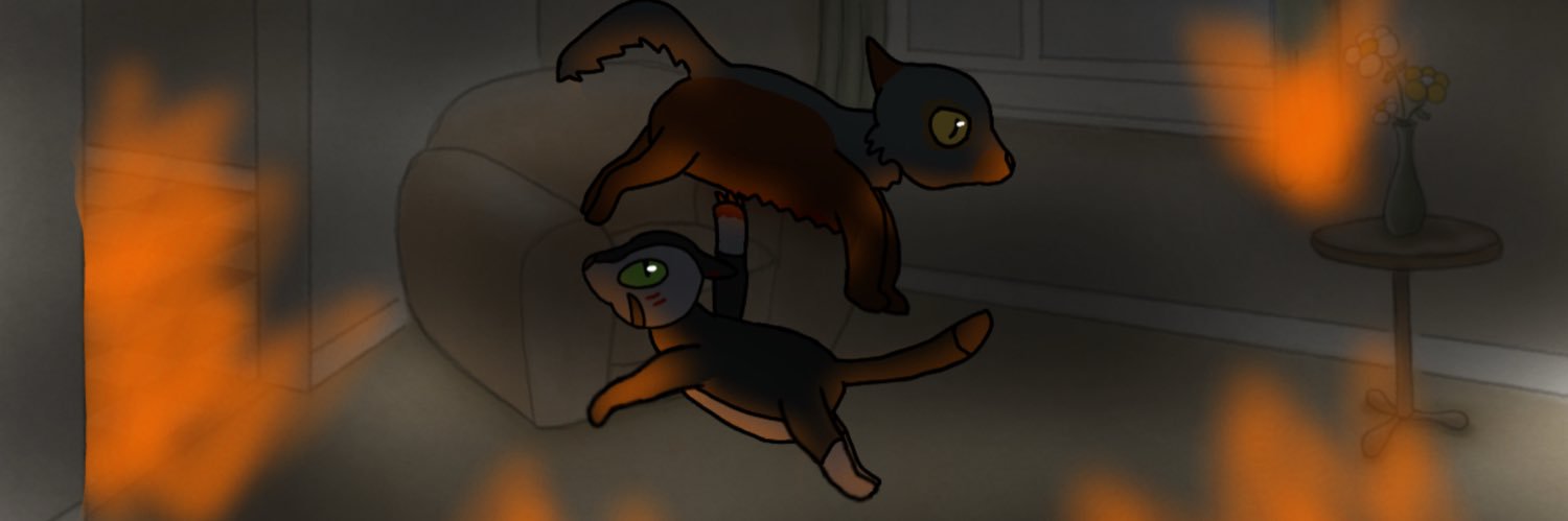 Alidoo banner