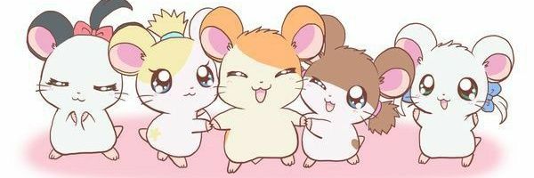 seimo65's profile banner image