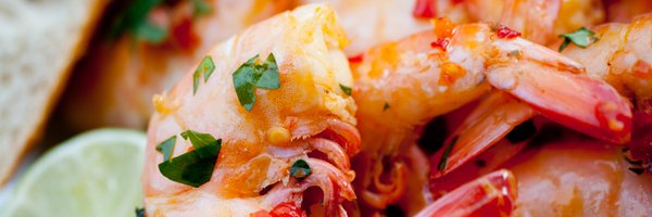 DocFords Profile Banner