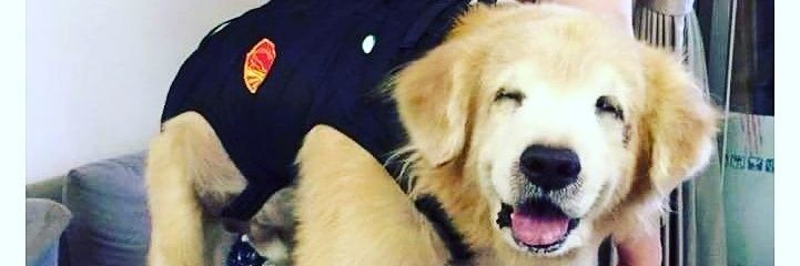 eddyatusabe's profile banner image