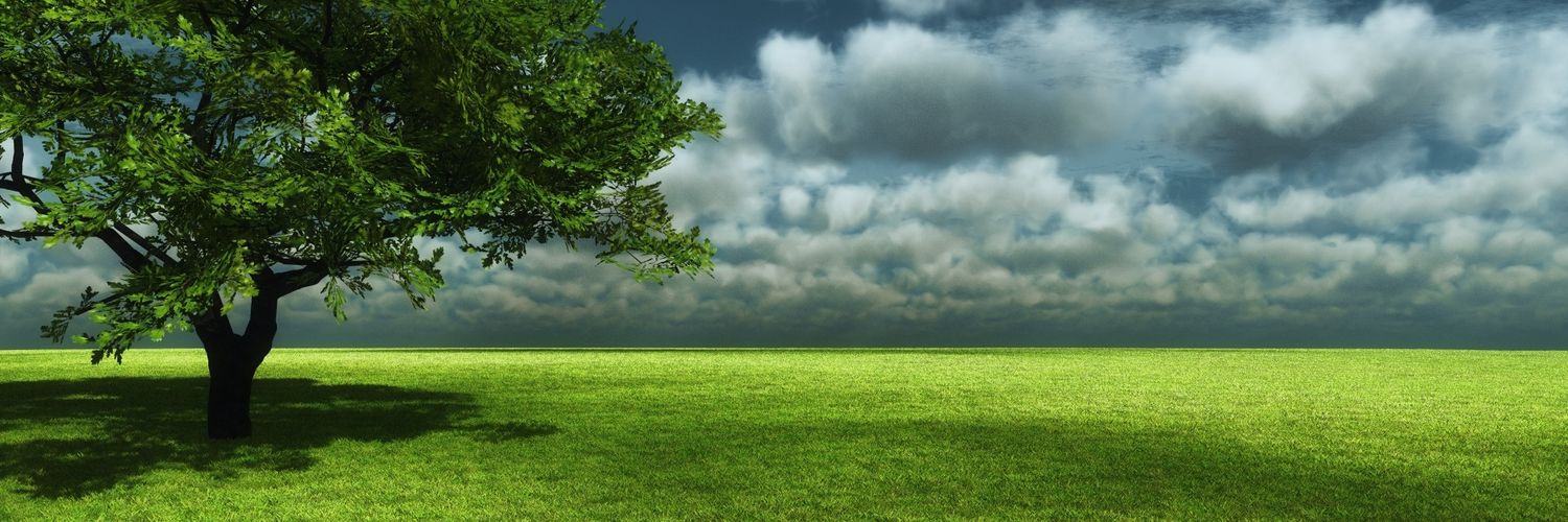 alshl494171's profile banner image