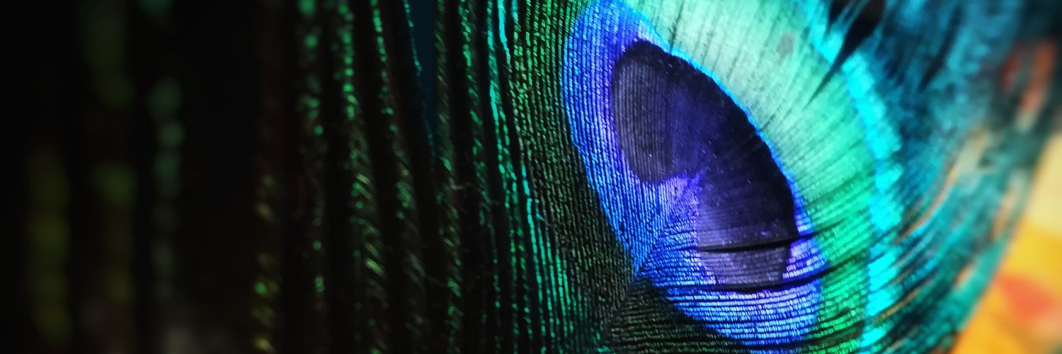 rknalluri's profile banner image