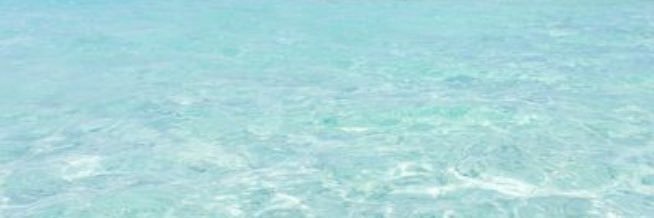vm5z79870's profile banner image