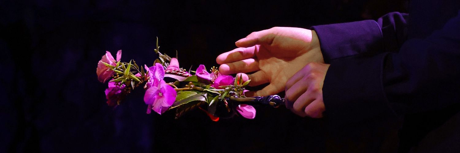 📸솜솜사진관✨ banner