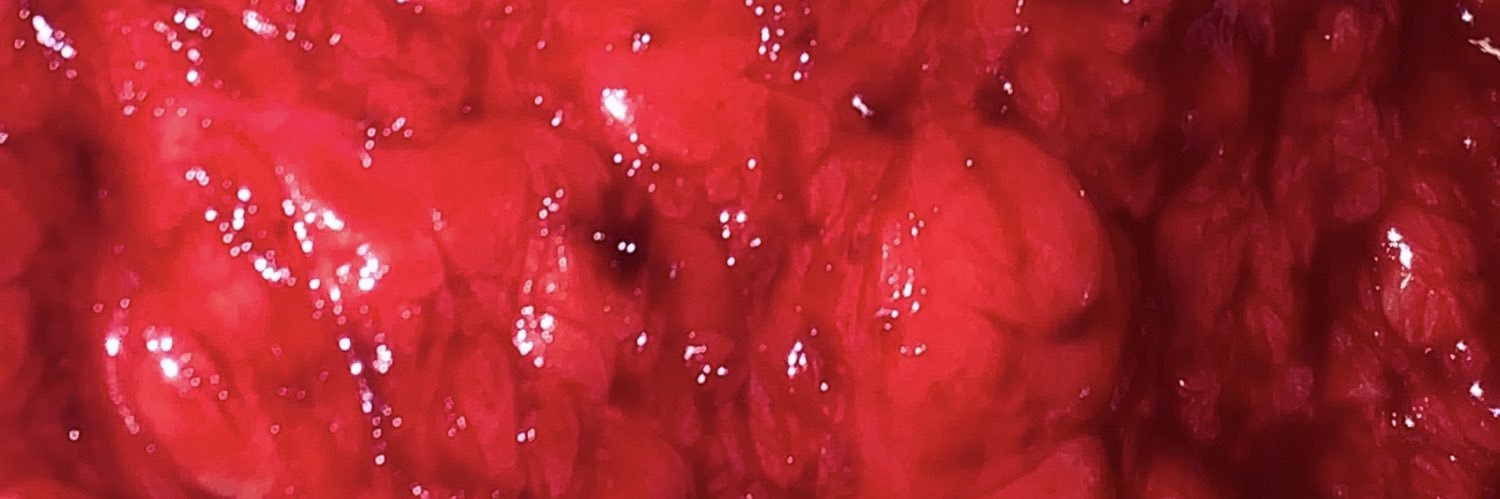 slaughter_slut's profile banner image