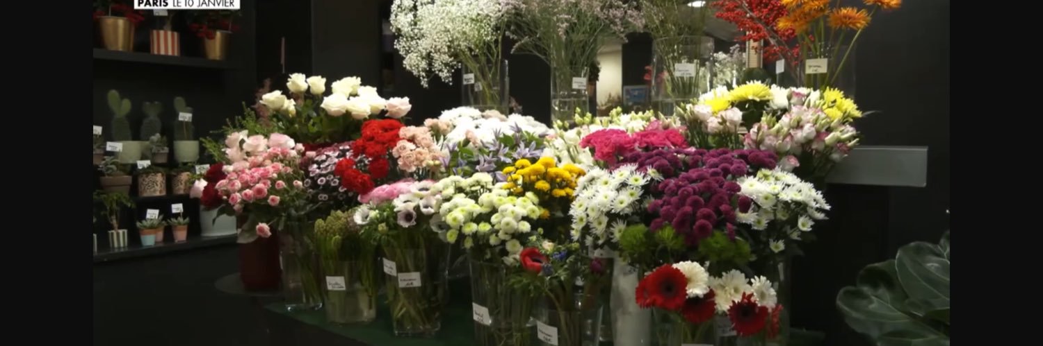 Jose.Brito49@icloud.com banner