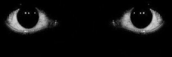 GNL0's profile banner image