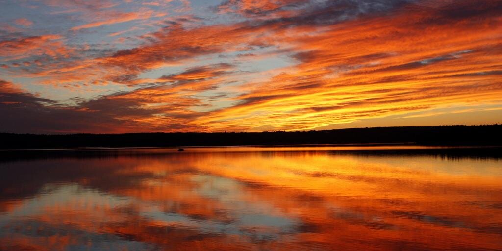 Cemetery Chick banner