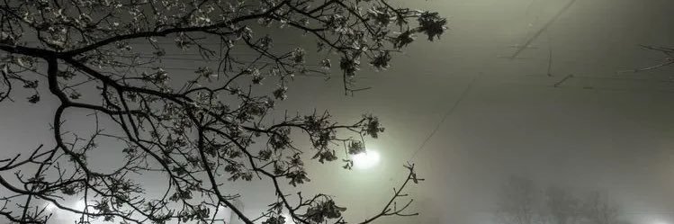 yayaverocai's profile banner image