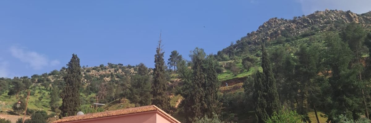 Adam Ze Moor 🇲🇦 banner