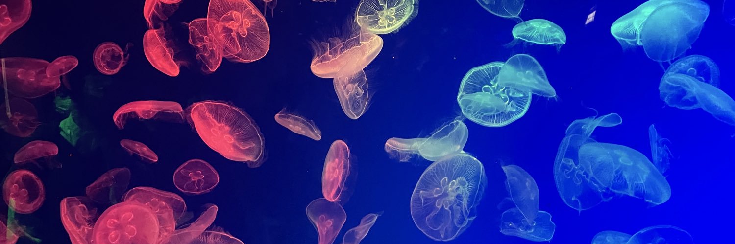 前借りちゃん💚💚 banner