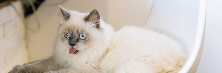 Gradney Al banner