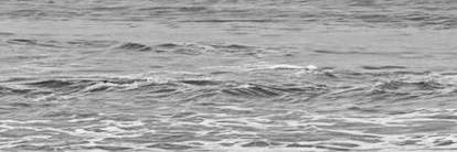 es! banner