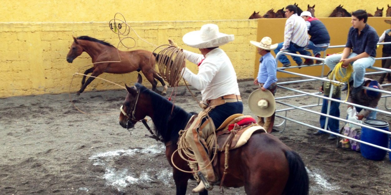 NacionalCharro's profile banner image