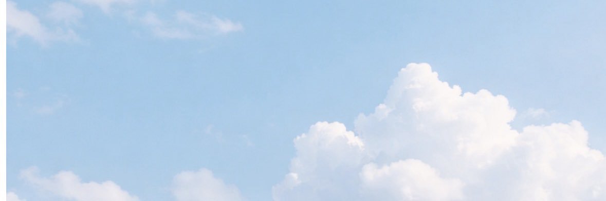 Sara banner
