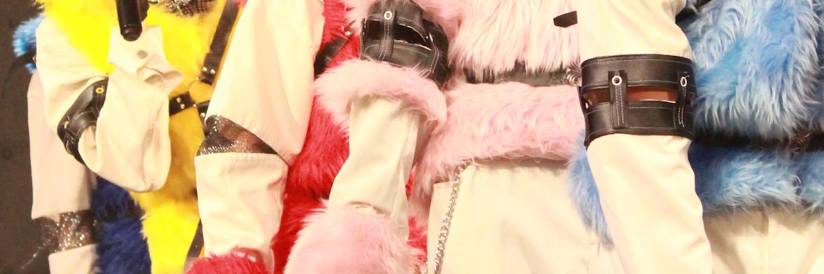 ฅ ˆ. ̫.ˆ ฅ banner