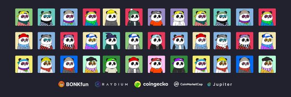 pandulabs Profile Banner