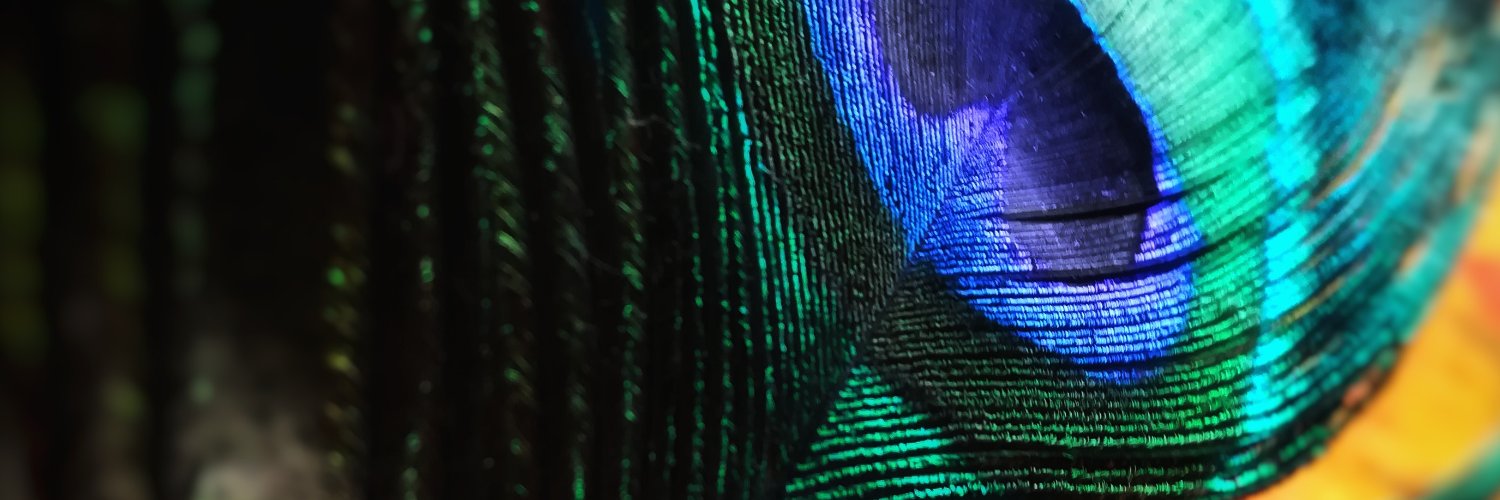 vaver48091's profile banner image