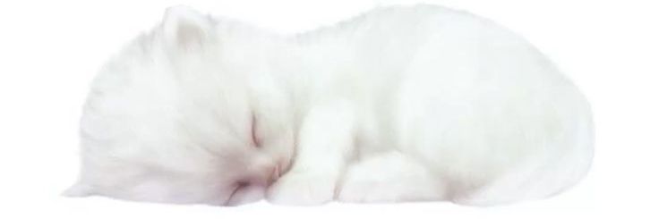 ଘ(๑˝̄ ु˘ ˝̄) ु ♡ banner