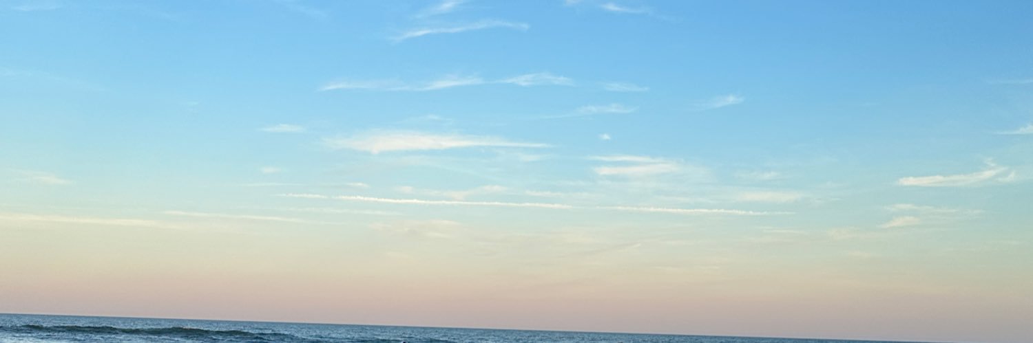 roadstersi's profile banner image