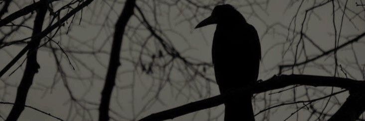C4 banner